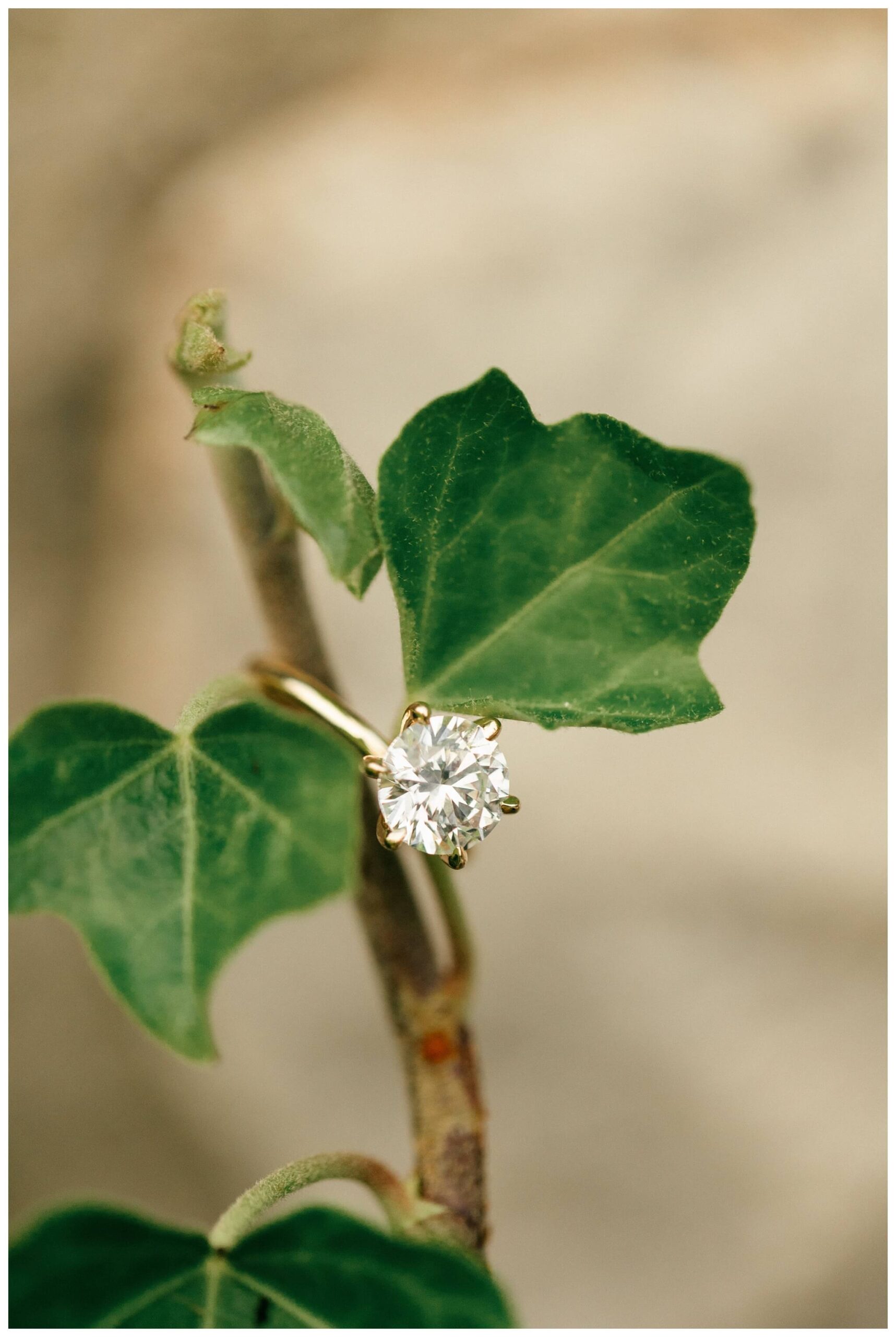 elegant estate engagement shoot by cranbrook house and gardens near detroit michigan by josh and andrea photography