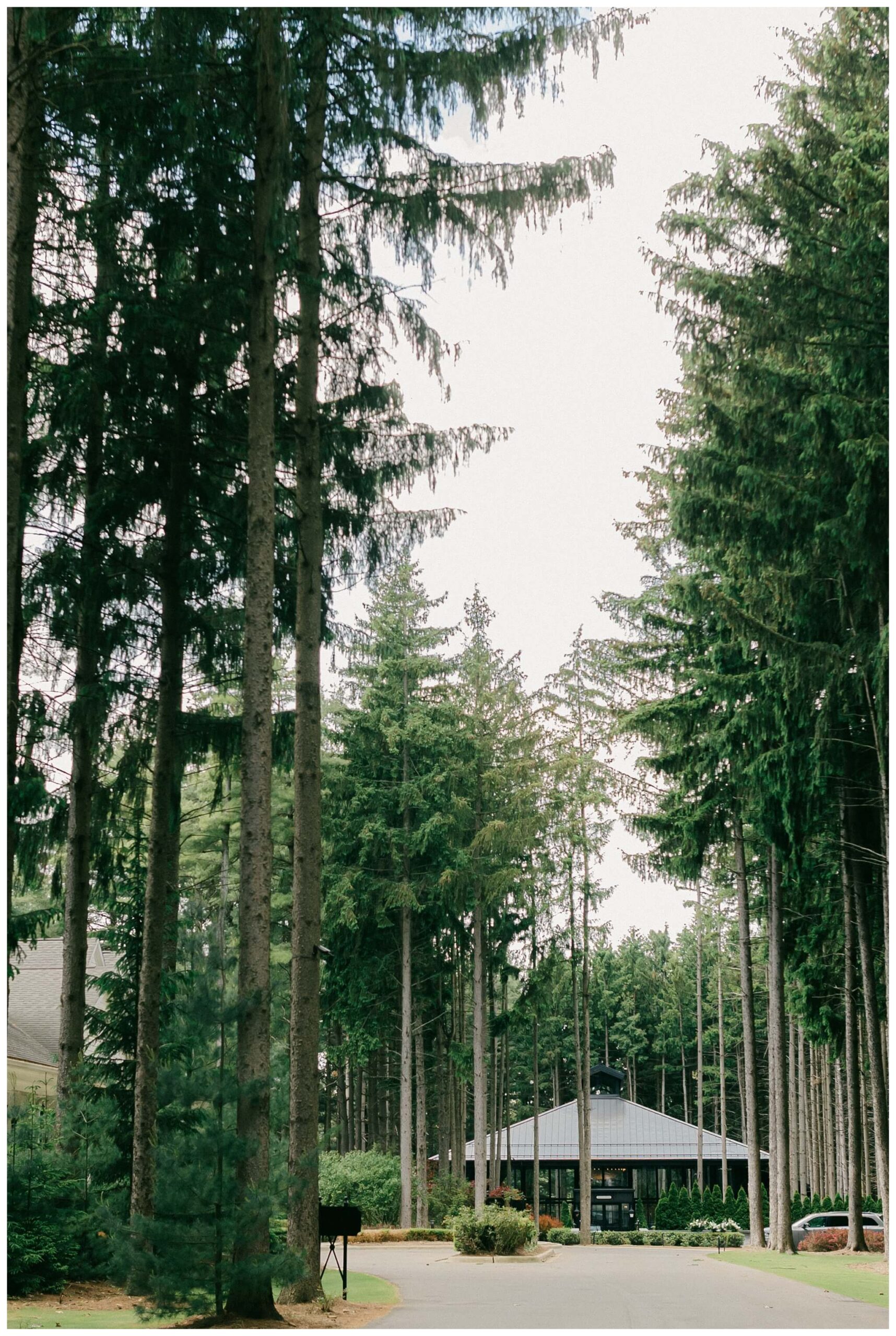 iconic black and white wedding in a forest at shepherds hollow gold club near detroit michigan by josh and andrea photography 