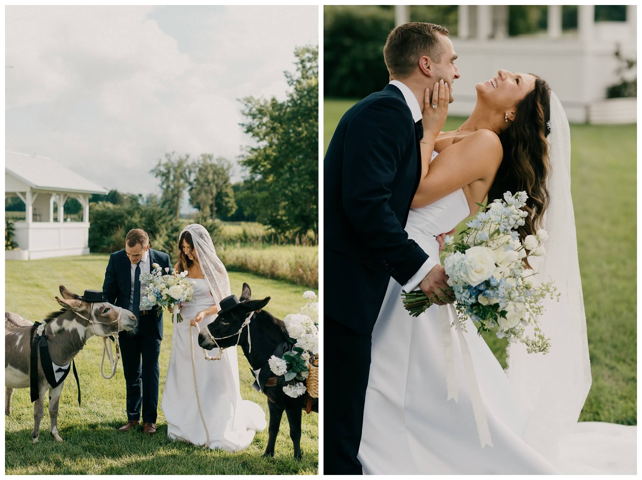 bride and groom with donkeys at white barn wedding at etre farms by josh and andrea photography 